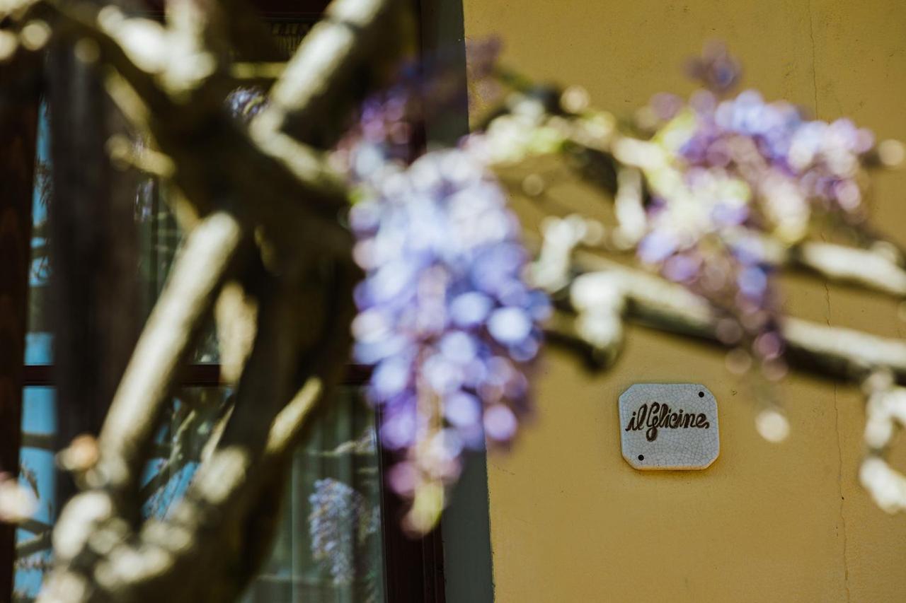 Agriturismo Montalbino مونتيزبيرتولي المظهر الخارجي الصورة